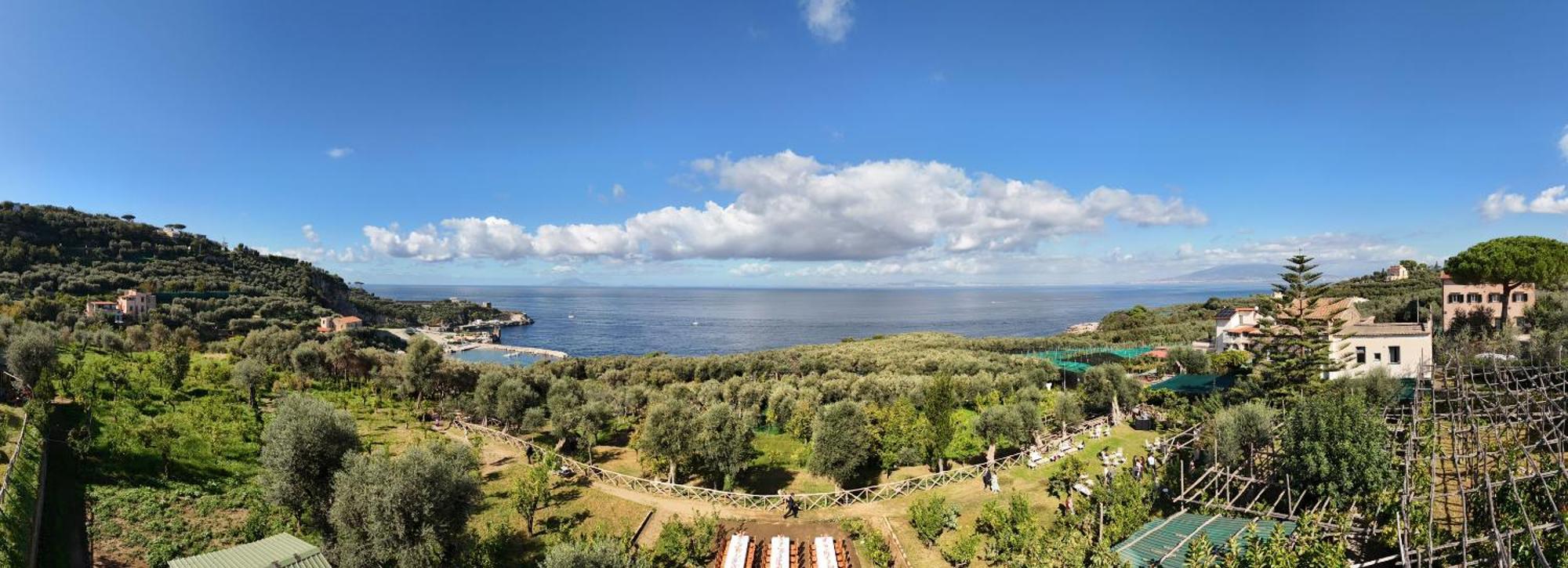 Villa Puolo - Sorrento Exterior photo